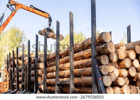 Logging Operations in Ukraine: Loading Logs onto Hydraulic Machinery on a Logging Truck
