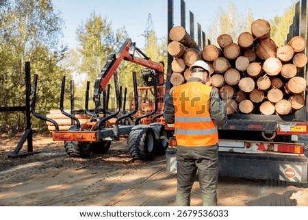 Logging Operations. Worker checks loading of firewood. Transportation of wood