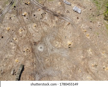Logging place, aerial view. Devastated land. Felled forest.