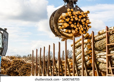 Logging, sawmill. Bunching grapples of log loader lifting pile of logs