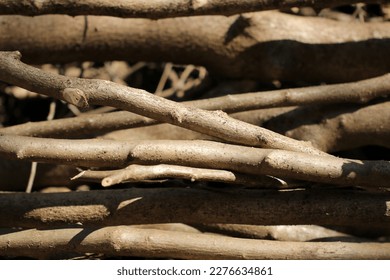 Logging site in the mountains casually surrounded by thinned branches with a calm beige monotone color. - Powered by Shutterstock