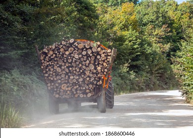 Logging Tractor On Forest Road