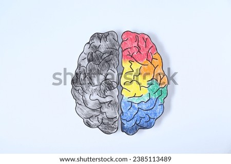 Logic and creativity. Paper brain with one colorful hemisphere and another grey on white background, top view
