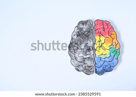 Logic and creativity. Paper brain with one colorful hemisphere and another grey on white background, top view. Space for text