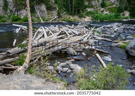 Logjam on the Lewis River, weathered logs caught up on rocks, Yellowstone National Park, USA
 Stock photo © 