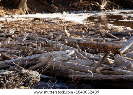 A logjam in the St Louis River in Minnesota Stock photo © 