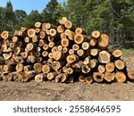 Logs awaiting a logging truck to deliver to a mill. 