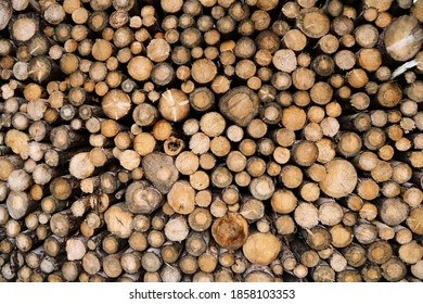 Logs with cross section structure