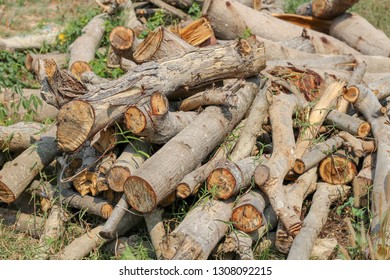 The logs are cut.
