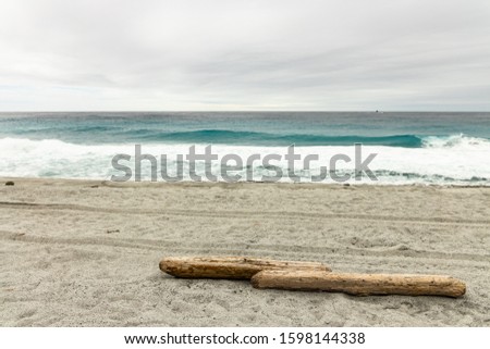 logs drifting to the beach