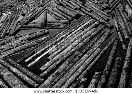 Logs are floating in the river