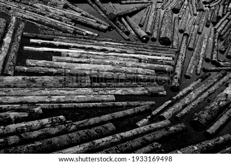 Logs are floating in the river