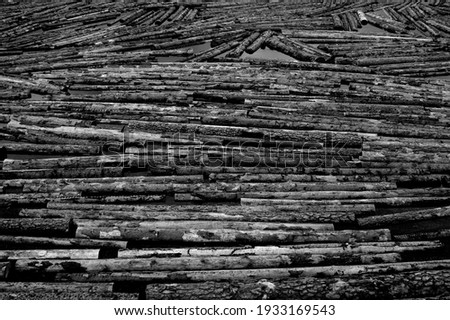 Logs are floating in the river