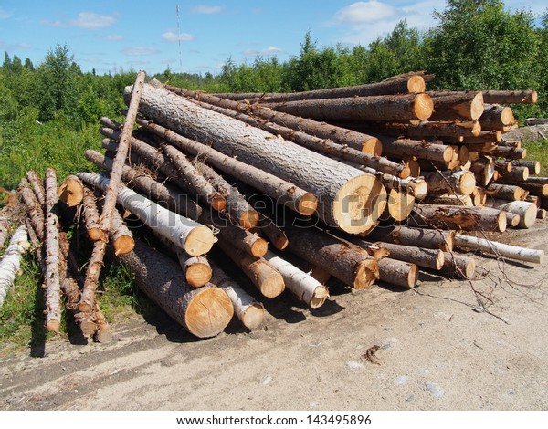 The logs on the\
road