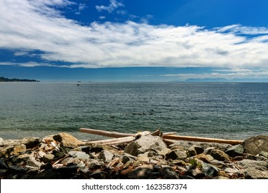 Logs On The Sechelt Beach, Sunshine Coast, BC, Canada