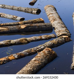 Water Log Images Stock Photos Vectors Shutterstock