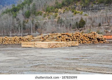 Logs And Timber Stacked In A Saw Mill