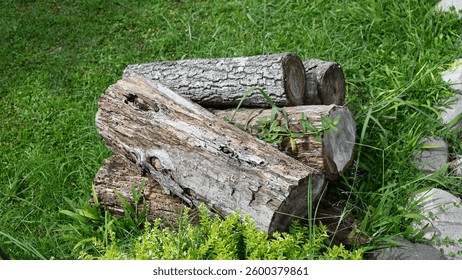 logs of tree trunks, laid on the grass