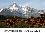 Logs wait to be processed near the base of Whitehorse Mountain in the North Cascades