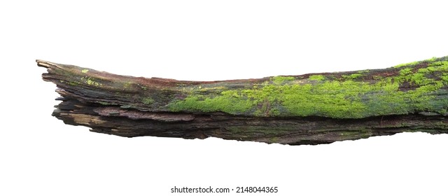 log,with green moss isolated on white background.clipping path. - Shutterstock ID 2148044365