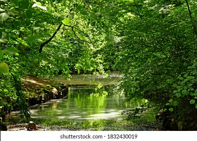 The Loiret Banks