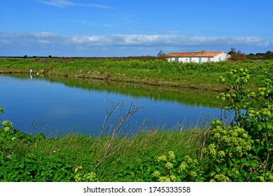 Loix, Ile De Re, France - March 13 2020 : Salt March In The Picturesque Village In Winter