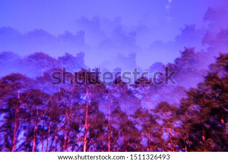 Lomography magic landscape. Pines and sky. Abstract blurry psychedelic background. Soft focus. Stock foto © 