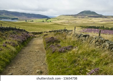 Lomond Hills - Scotland