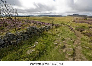 Lomond Hills - Scotland