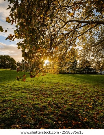 Similar – Herbstspaziergang mit Hund