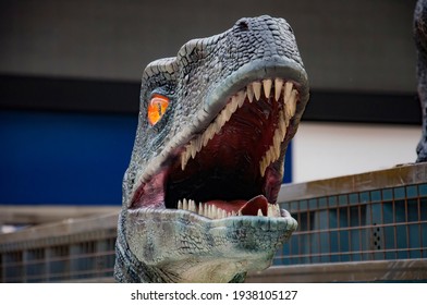 Velociraptor Blue Images Stock Photos Vectors Shutterstock