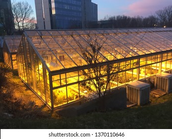 London Canada - April 13 2019: Editorial Photo Of A University Greenhouse At Night Time Illuminated With The Green House Lights. Many Botany Experiments Are Done Here.