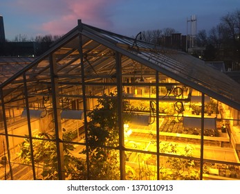 London Canada - April 13 2019: Editorial Photo Of A University Greenhouse At Night Time Illuminated With The Green House Lights. Many Botany Experiments Are Done Here.