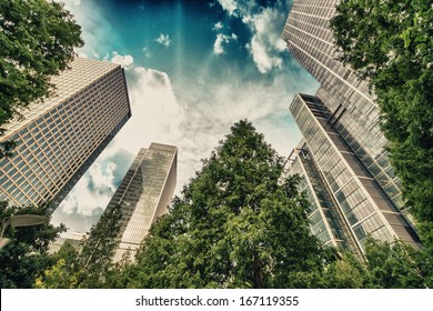 London, Canary Wharf. Beautiful View Of Skyscrapers And Trees From Street Level.