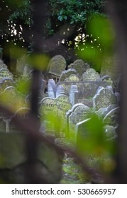 LONDON DECEMBER 23: The Victorian Pet Cemetery In Hyde Park - The Hidden Gem Of London On December 23rd, 2015 In London, UK