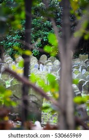 LONDON DECEMBER 23: The Victorian Pet Cemetery In Hyde Park - The Hidden Gem Of London On December 23rd, 2015 In London, UK