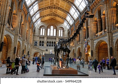 London, England - 21.November.2016 - Natural History Museum Interior