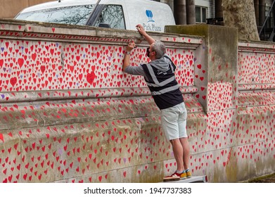 LONDON, ENGLAND- 31 March 2021: Volunteer Adding Hearts To The National Covid Memorial Wall