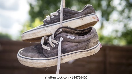 vans skate shoes 2014