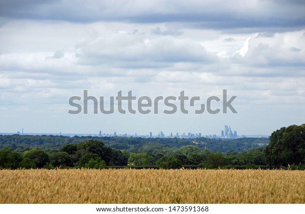 London from the North Downs at Reigate Hill\
Surrey. London skyline with fields. London is surrounded by a green\
belt of woods and fields. View of London across the fields. City\
skyline and countryside
