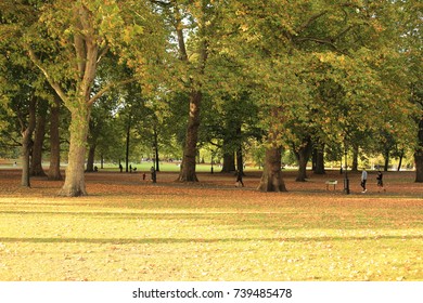 London - October 25, 2017: Green Park is a Royal Park in London adjacent to Buckingham Palace