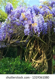 London Parks - Southwark Park