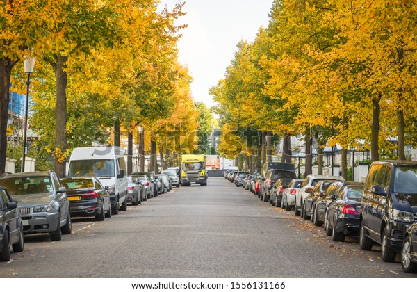 London street lined with parked cars and\
autumn coloured trees around\
Kensington