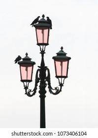 London Streetlight With Perched Pigeons, Isolated On White Sky