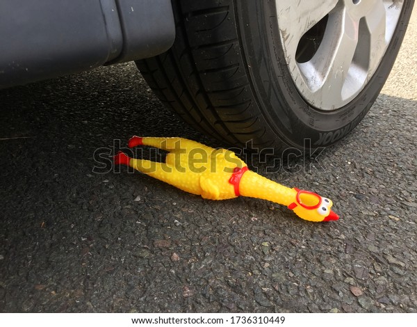 LONDON / UK - 12 JANUARY 2020: Car tire\
running over shrilling rubber chicken\
toy