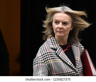 London, UK. 20 November, 2018. Elizabeth Truss MP, Chief Secretary To The Treasury, Leaves The Weekly Cabinet Meeting, 10 Downing Street.