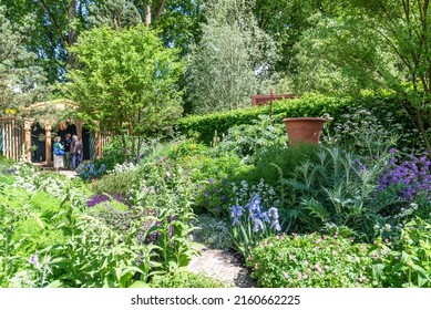 London  UK- 5.24.2022: Show Gardens At Chelsea Flower Show