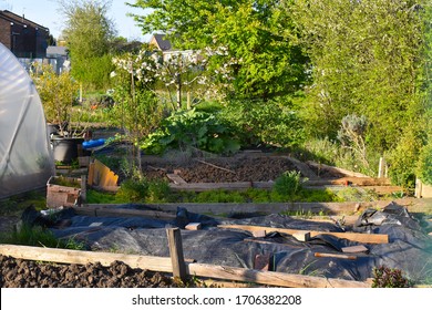 London, UK - April 14 2020: Grow Your Own Fruit Flowers Herbs And Veg On One Of London Allotment Sites. Some Of The Council Spots Have Long Waiting Lists So When You Apply Best Include Several Options