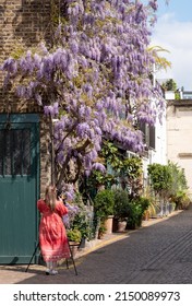 London UK. April 2022. Woman in red flowing dress photographing wisteria vine with stunning purple flowering blooms, in Kynance Mews, Kensington London on a sunny spring day.