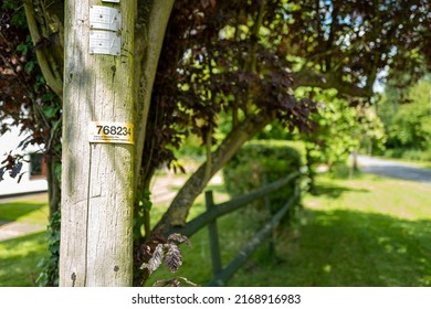 London, UK - Circa June 2022: Shallow focus of a wooden electricity pole showing contact and information about the electrical supply to a farm building in the background. Located by a rural road.